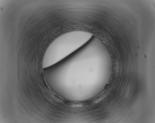 X0000086320653200703300906