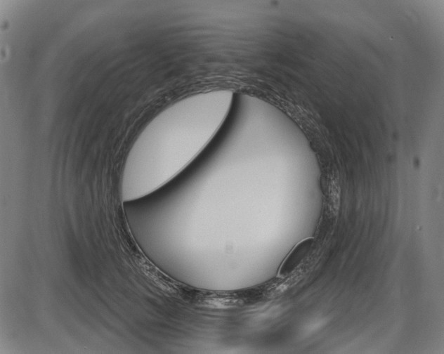 X0000086320657200703300906