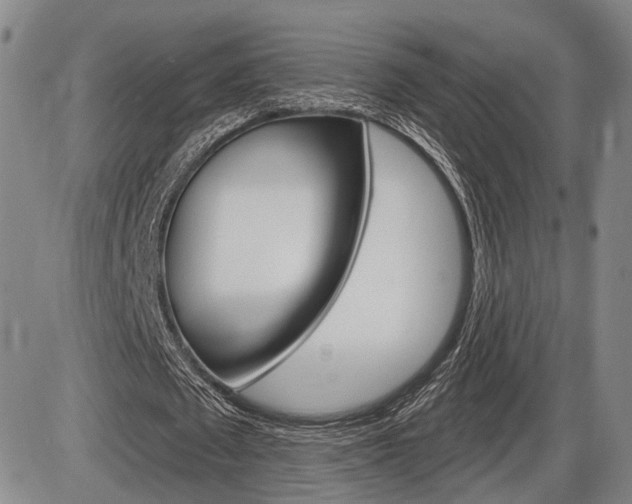 X0000086320673200703300906