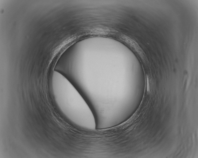 X0000086320675200703300906