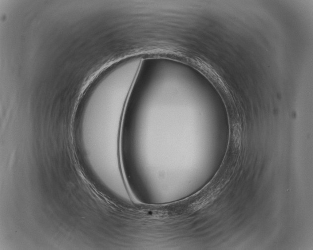 X0000086320676200703300906