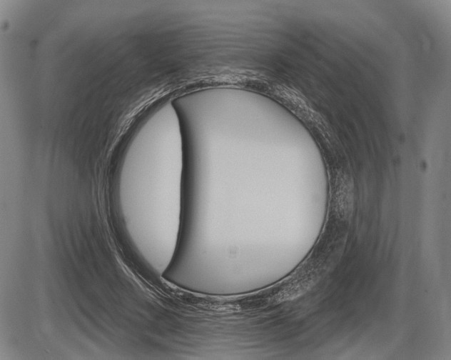 X0000086320683200703300906