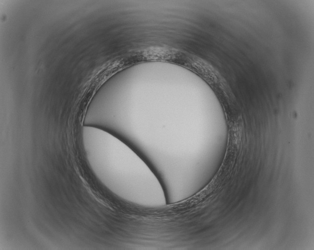 X0000086320690200703300905