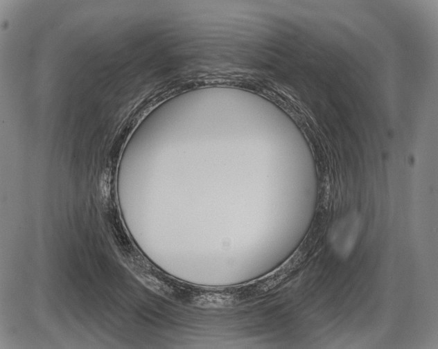 X0000086320691200703300905
