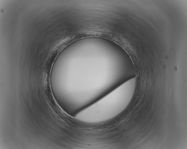 X0000086320692200703300905