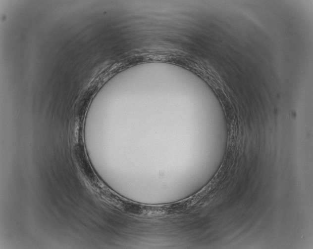 X0000086320694200703300905