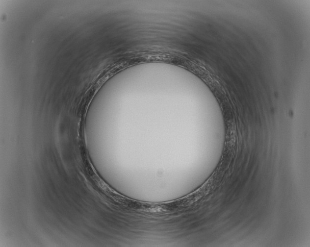X0000086320695200703300905