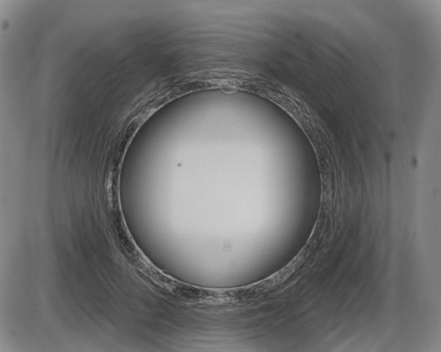X0000086320696200703300905