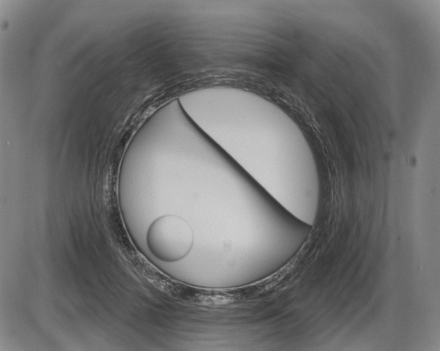 X0000086320698200703300905