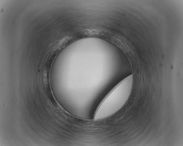 X0000086320700200703300905