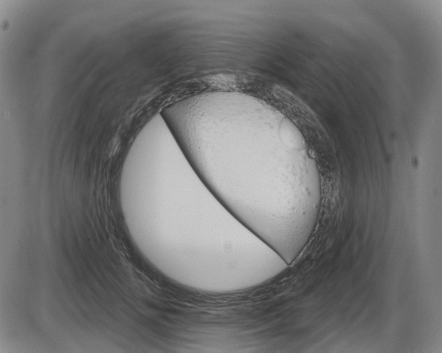 X0000086320702200703300905