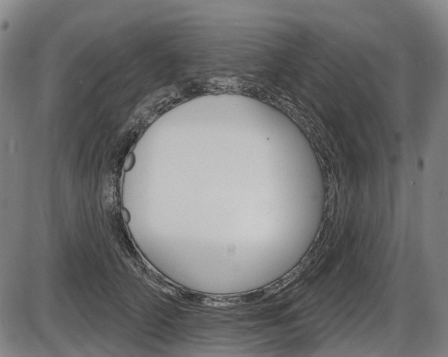 X0000086320706200703300905