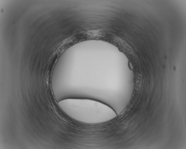 X0000086320710200703300905
