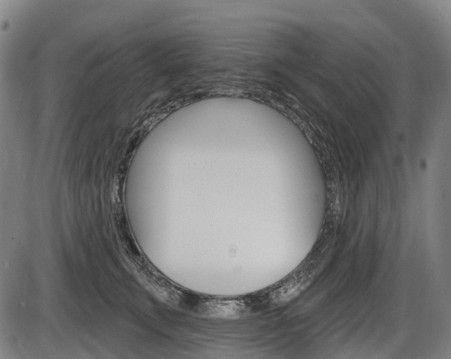 X0000086320711200703300905
