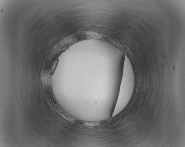 X0000086320713200703300905
