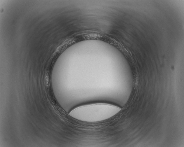 X0000086320715200703300905