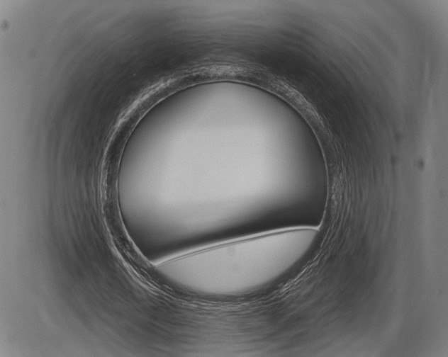 X0000086320722200703300904