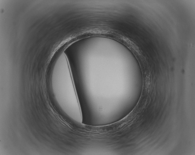 X0000086320727200703300904