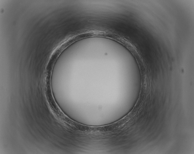 X0000086320730200703300904