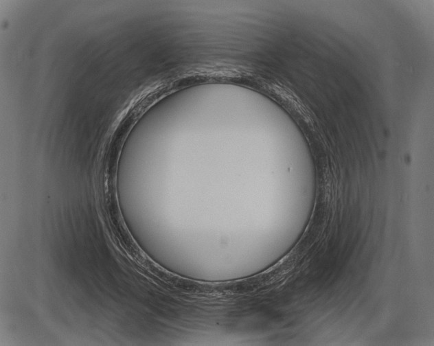 X0000086320731200703300904