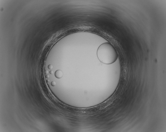 X0000086320734200703300904