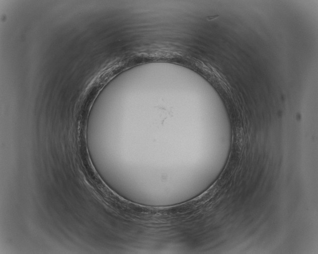 X0000086320735200703300904