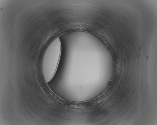 X0000086320739200703300904