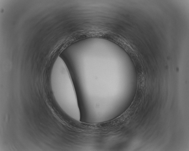 X0000086320742200703300904