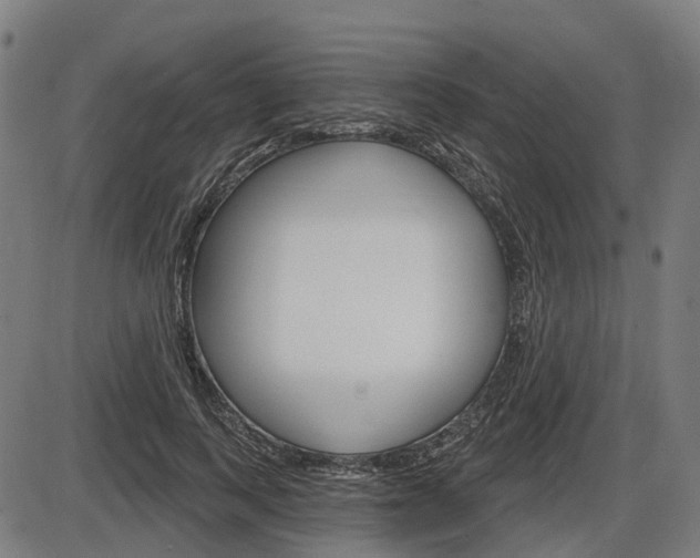 X0000086320743200703300904