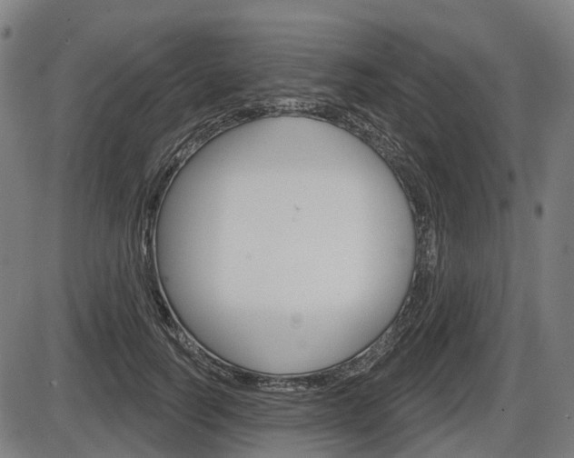 X0000086320746200703300905