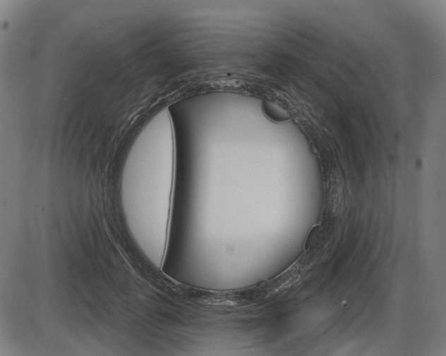 X0000086320747200703300905