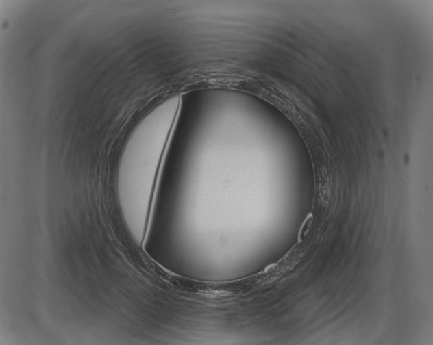 X0000086320748200703300905