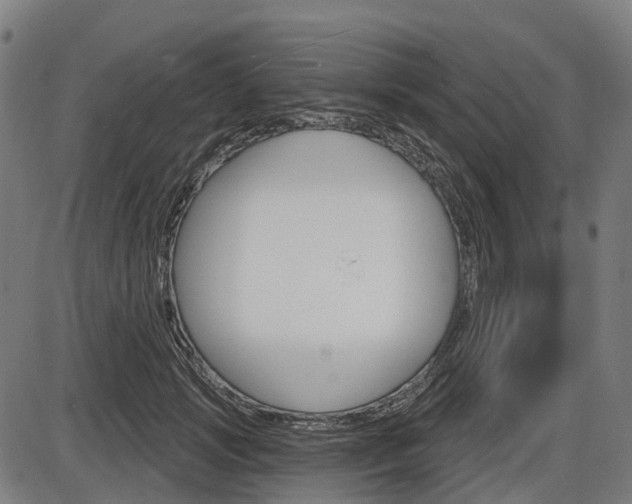 X0000086320749200703300905