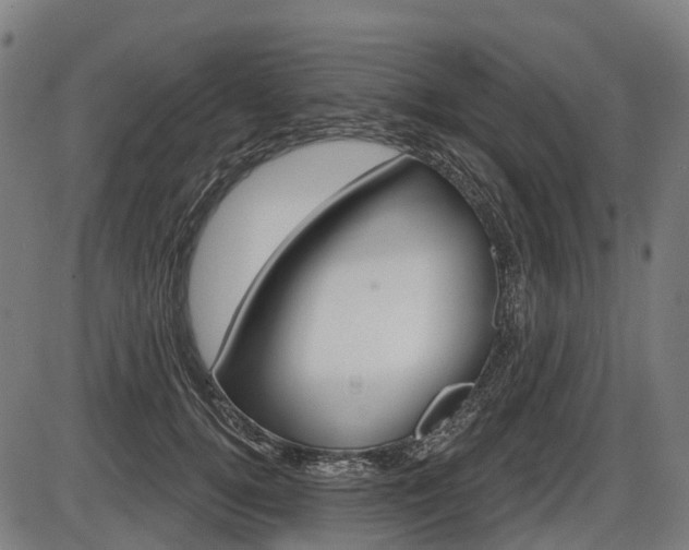 X0000086320752200703300905