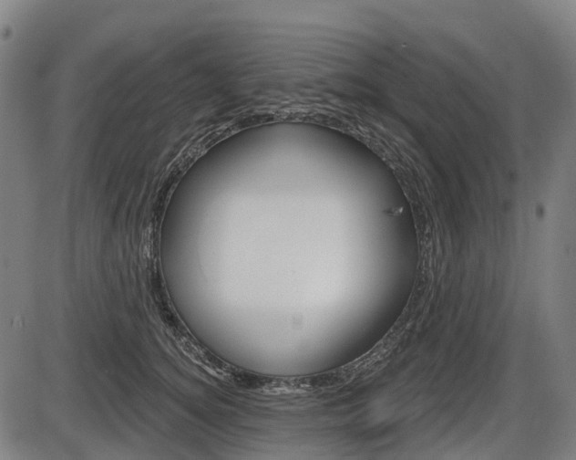 X0000086320756200703300905