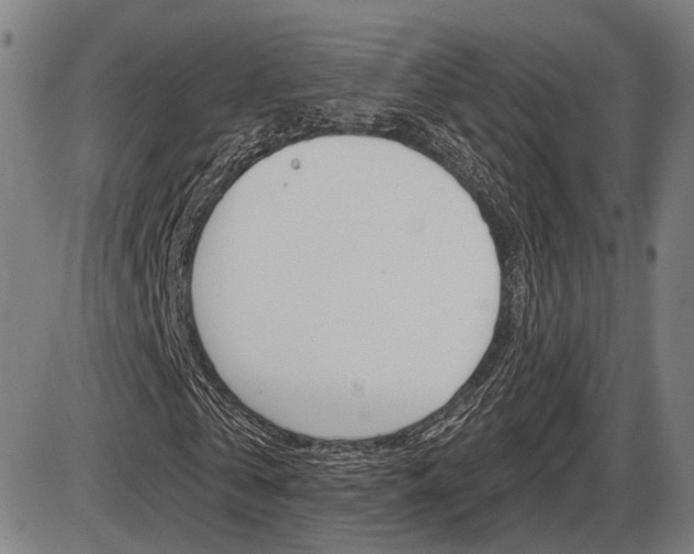 X0000086320769200703300904