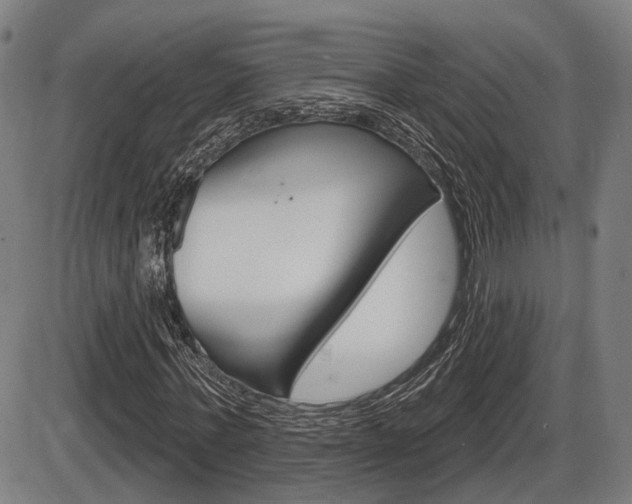 X0000086320771200703300904