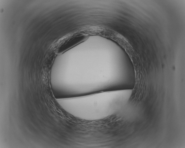 X0000086320773200703300904