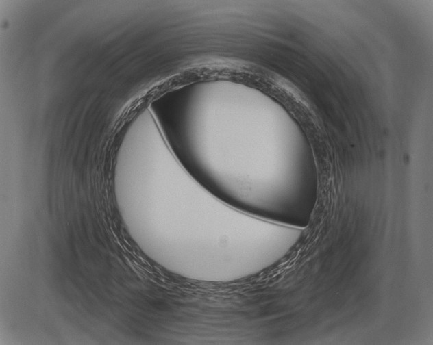 X0000086320775200703300904