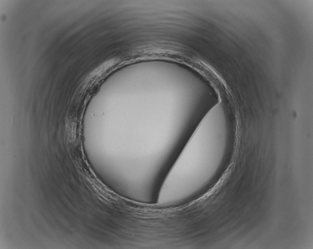 X0000086320777200703300904