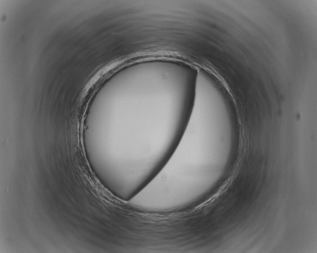 X0000086320781200703300904