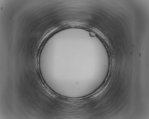 X0000086320782200703300904