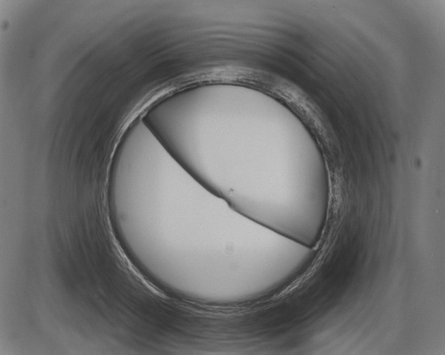 X0000086320794200703300904