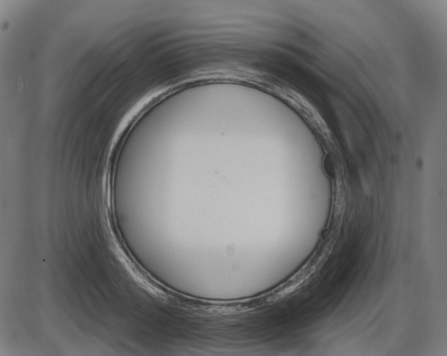 X0000086320796200703300904
