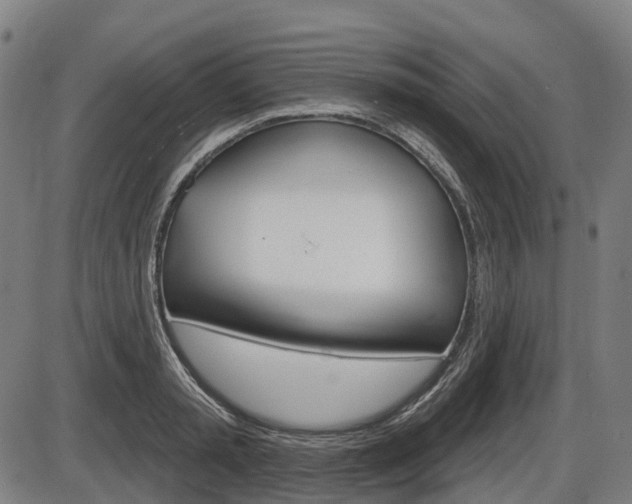 X0000086320797200703300904