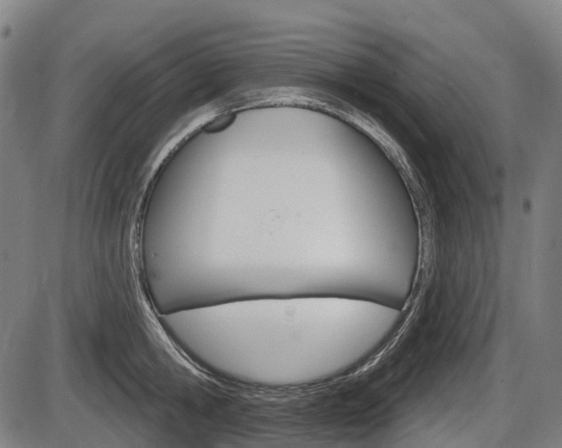 X0000086320806200703300903
