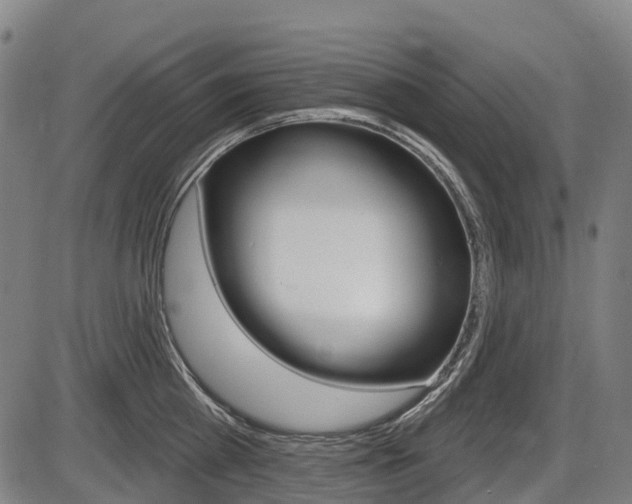 X0000086320809200703300903