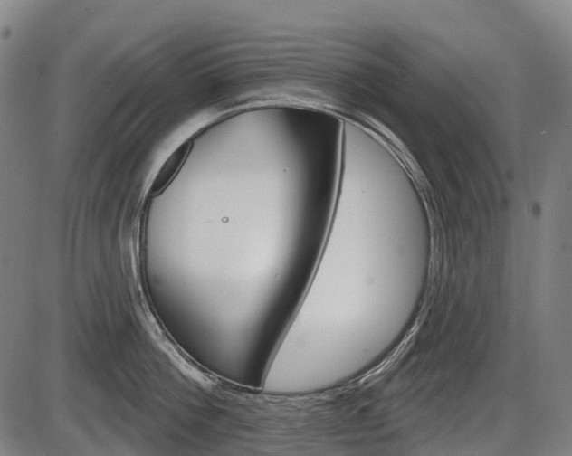 X0000086320812200703300903