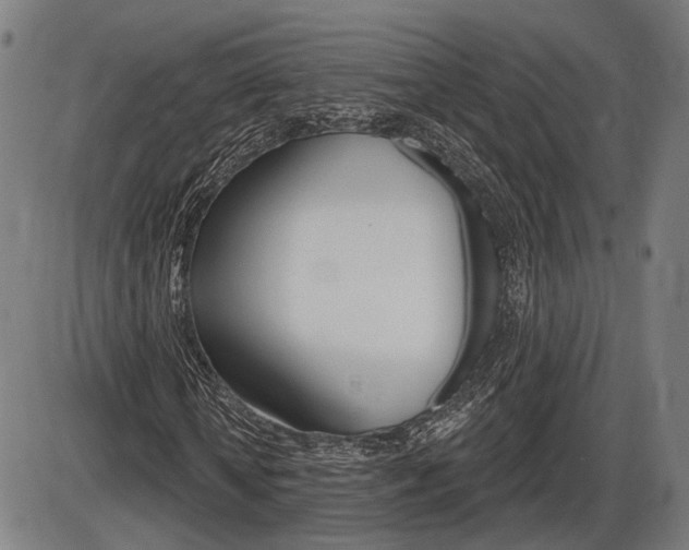 X0000086320818200703300903