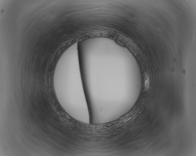 X0000086320819200703300903